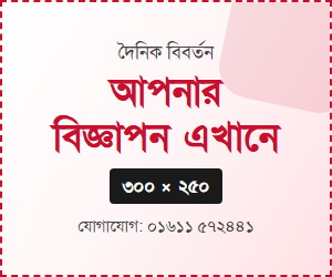 ডেমো — 300x250