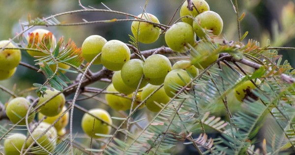 পিরিয়ডের সময়