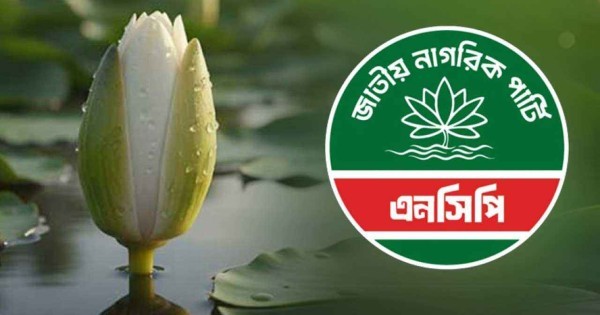 শাপলা কলি